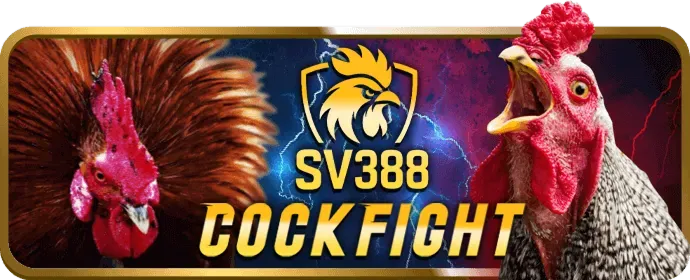 Chương trình VIP với đặc quyền thể thao tại 6ff1 chính thức